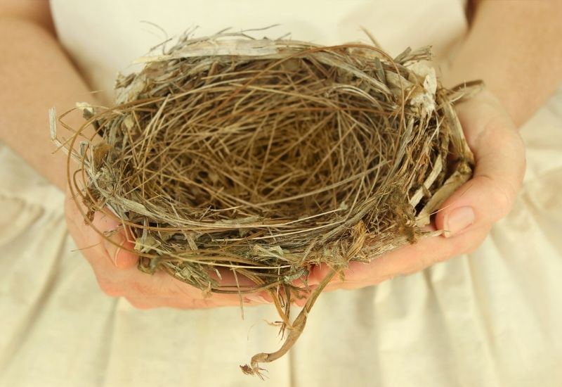 Empty Nest Syndrome – Losses and Opportunities